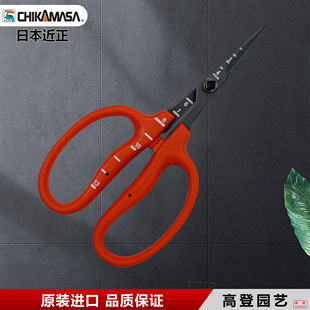 进口葡萄剪近正大嘴鸟B500花剪稀果剪葡萄摘粒剪采摘剪 日本原装