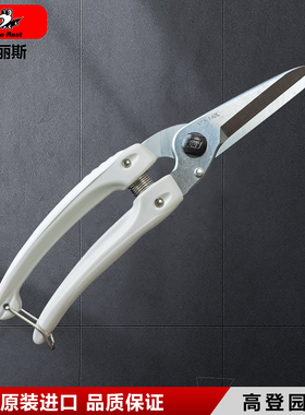 日本爱丽斯花艺剪ars140LDX园艺剪修枝剪叶芽剪盆景剪插花剪花剪