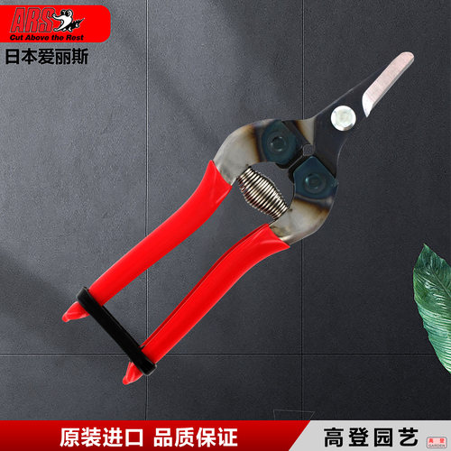 日本爱丽斯蔬果采摘剪弯头