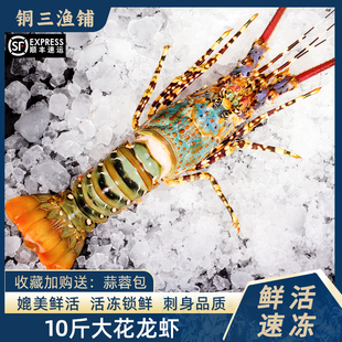 澳洲大龙虾特大3 8斤大花龙鲜活速冻小青龙波龙深水虾海捕鲜水产