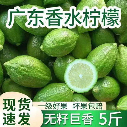 特价商用 广东香水柠檬新鲜柠檬无籽一级果鸭屎香柠檬茶奶茶专用