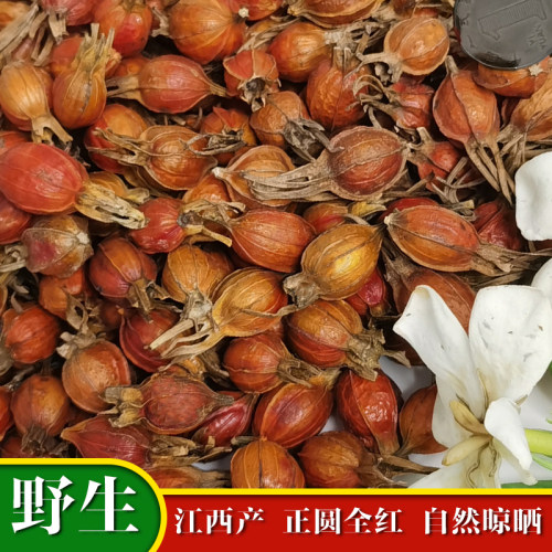 中药材野生山栀子新货包邮