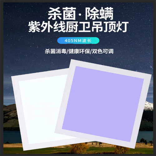 紫外线杀菌灯板杀菌灯