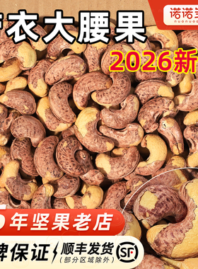 紫皮腰果2026年新货越南坚果大颗粒整箱5斤紫衣盐焗带皮散装批发