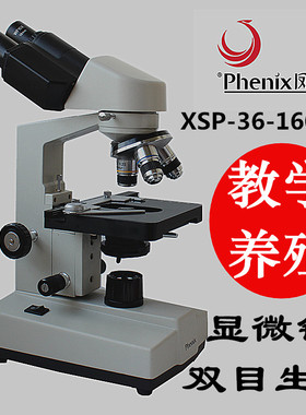 凤凰显微镜XSP-30系列专业学生单目双目生物科学实验医学养殖仪器