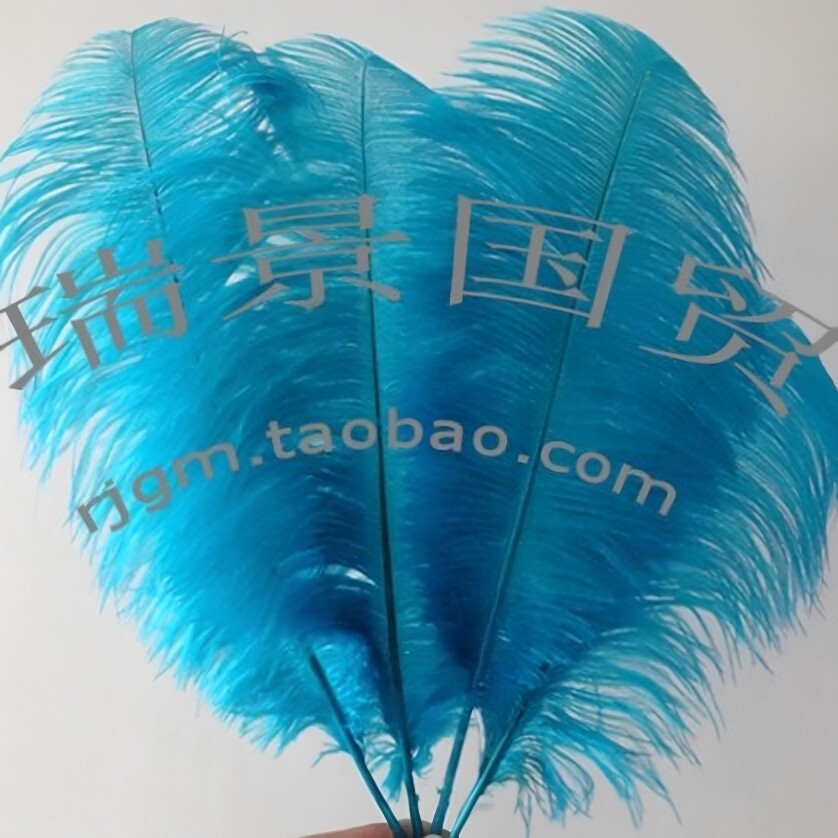 湖蓝色鸵鸟羽毛 各种尺寸 彩色鸵鸟毛 婚庆舞台演出装饰用