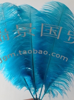 湖蓝色鸵鸟羽毛 各种尺寸 彩色鸵鸟毛 婚庆舞台演出装饰用