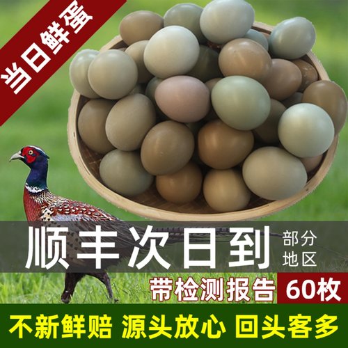 野鸡蛋60枚 七彩山鸡蛋新鲜 野金鸡蛋 绿乌骨鸡蛋 农家土鸡蛋山鸡