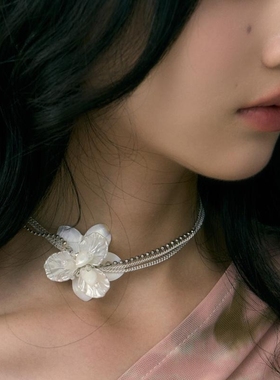 小众短锁骨链贝壳花朵珍珠多层
