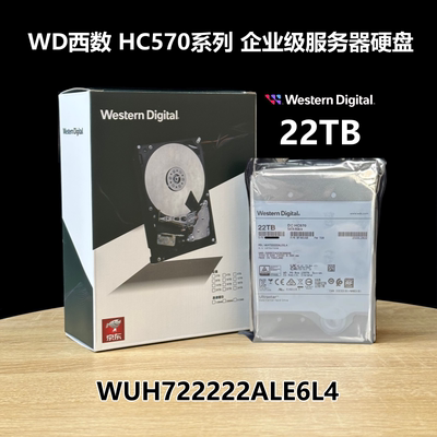 全新盒装国行西数22TB企业级硬盘