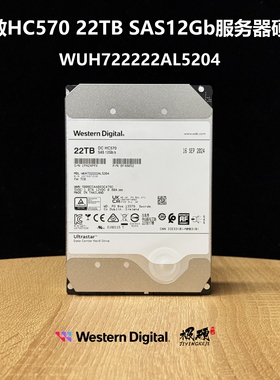 西部数据WD HC570 20T 22T  24T SAS 服务器硬盘WUH722222AL5204