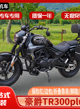 适用豪爵TR300plus改装件护杠保险杠边包折叠靠背手把镜手机支架