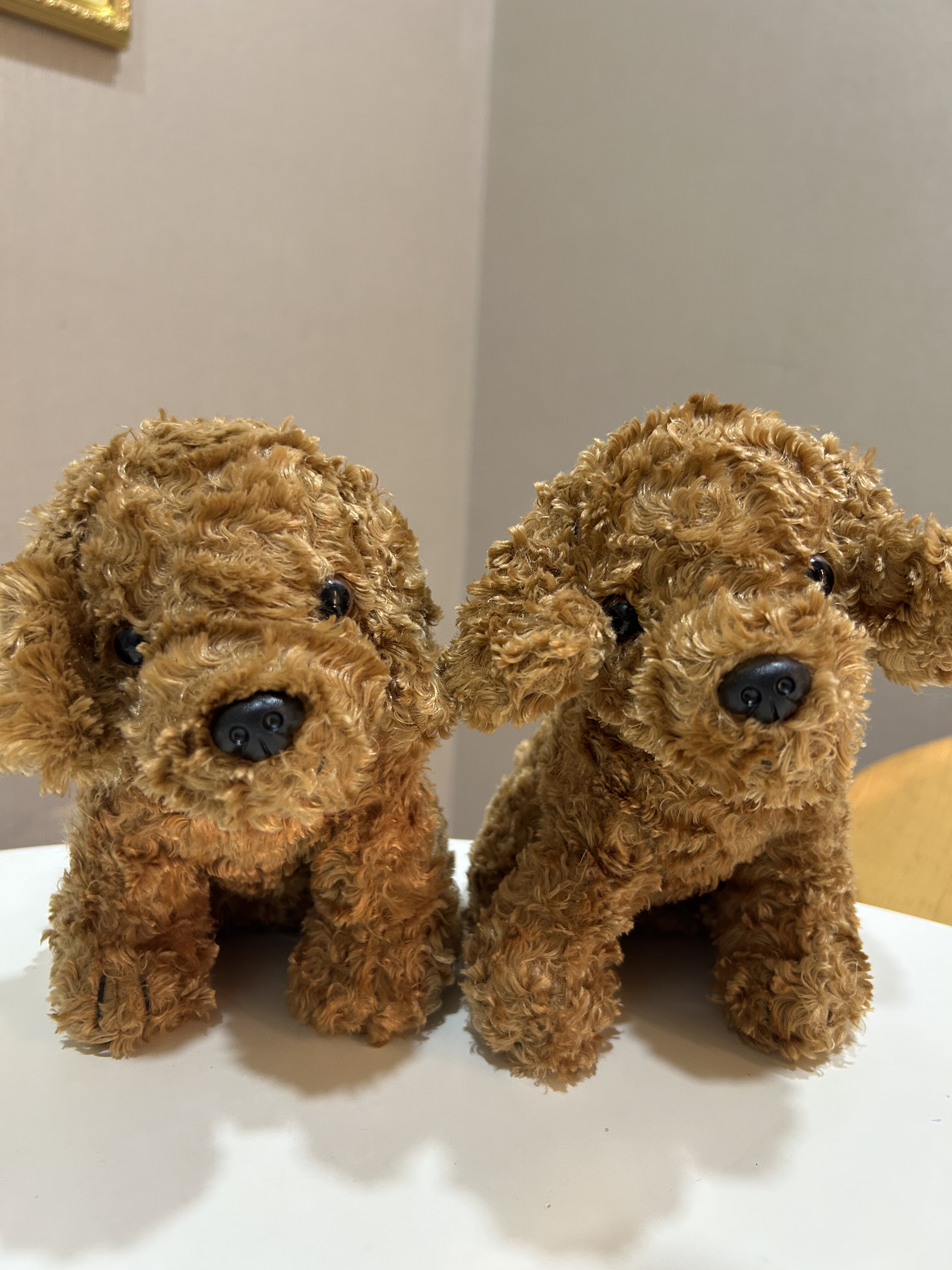 外贸出口可爱小泰迪犬狗狗仿真动物毛绒玩具玩偶公仔安抚礼物