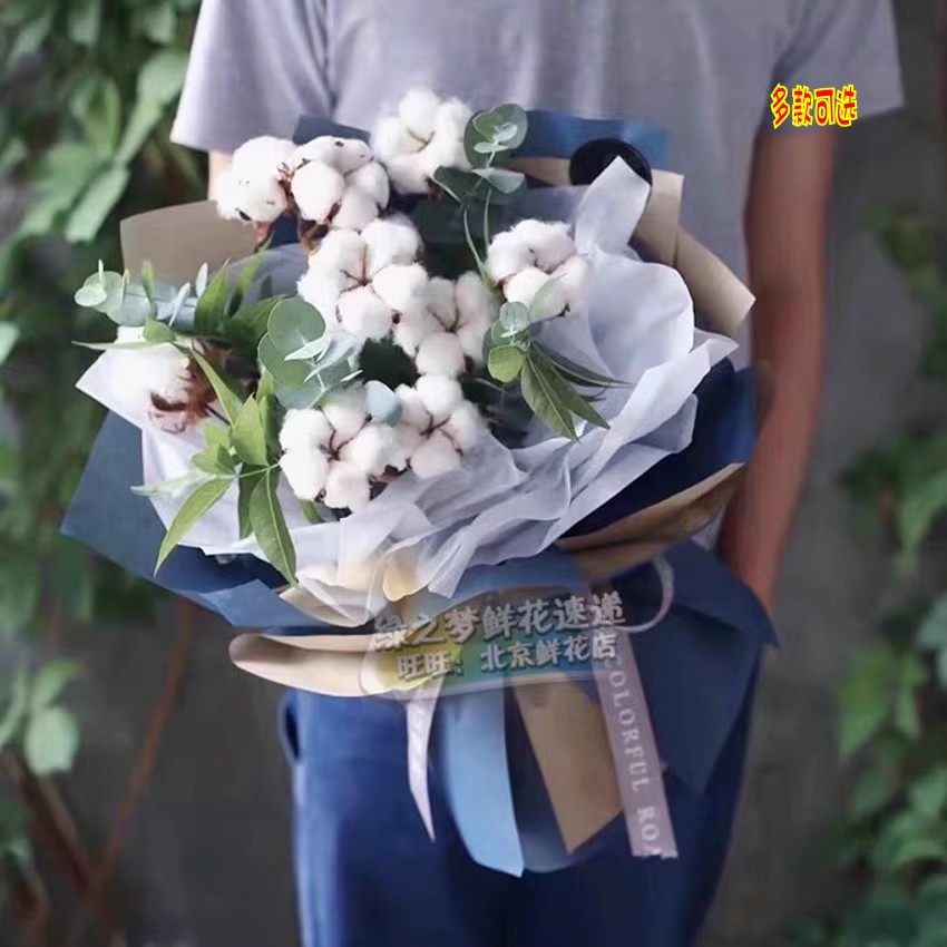 木棉花干花花束礼物鲜花速递同城配送北京男友女友闺蜜生日送花店