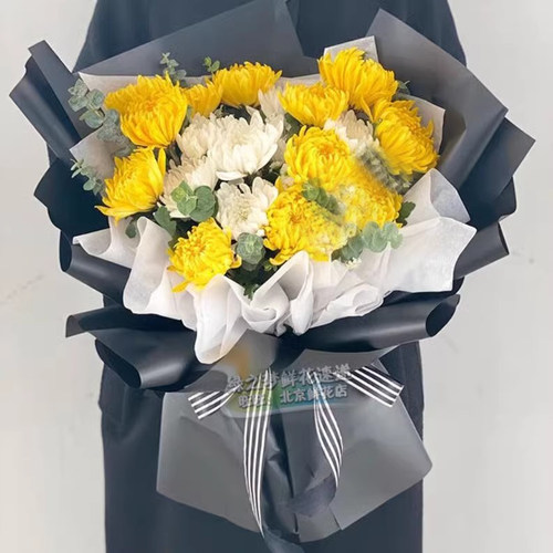 菊花白事花束追悼祭奠扫墓黄白菊花19朵黄白菊花束祭祀清明节扫墓