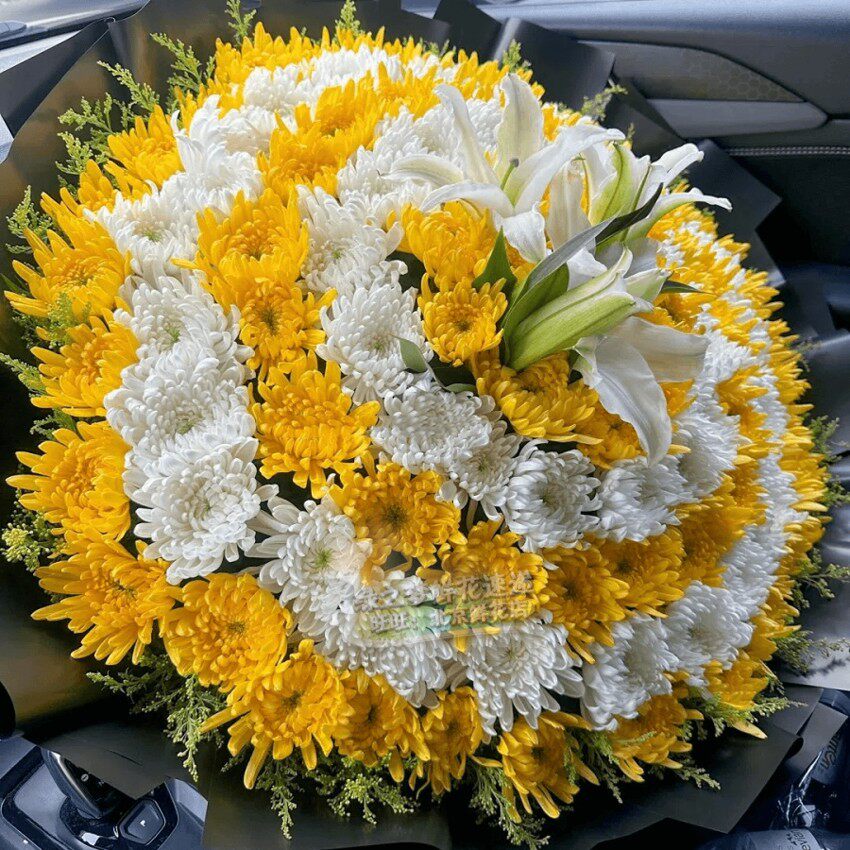 99朵黄白菊花清明节上坟祭奠扫墓哀悼真鲜花速递北京同城天津花店