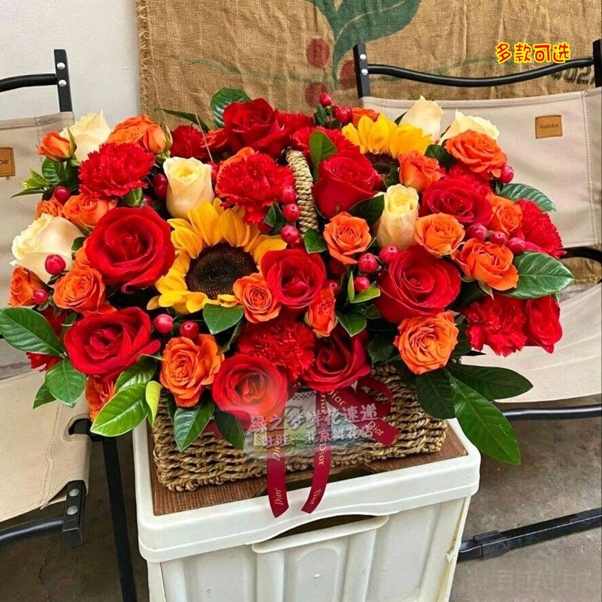 长辈妈妈生日母亲节康乃馨鲜花手提小花篮速递同城送长辈祝寿鲜花