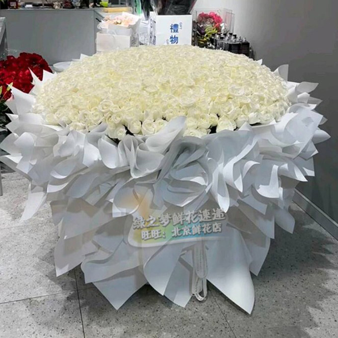 520朵白玫瑰花束 情人节鲜花速递同城表白 求婚 北京花店送花上门