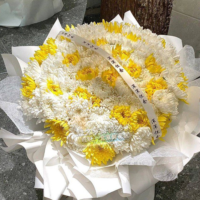 99朵菊花清明节花束鲜花同城速递祭祀祭祖哀悼上坟祭拜花店配送花