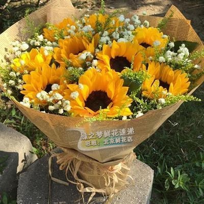 北京花店同城送花向日葵花束鲜花速递同城配送朝阳送男士朋友闺蜜