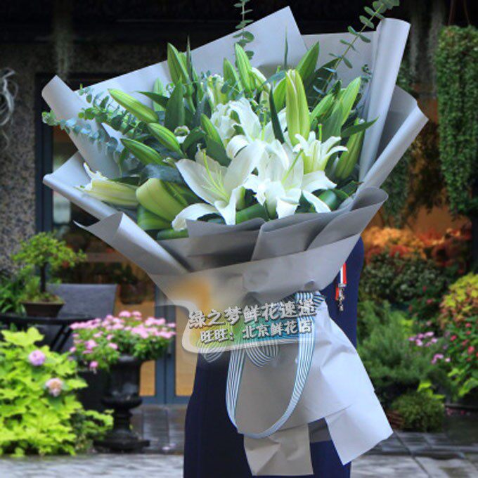 北京鲜花女友生日订花 速递鲜花石家庄花店送花 鲜花天津 百合花