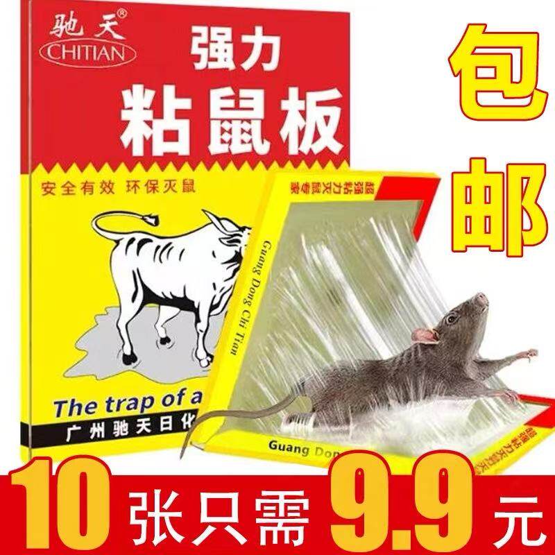 粘鼠板超强力老鼠粘贴灭捕鼠器驱抓捉沾大号鼠黏药胶神器家用正品