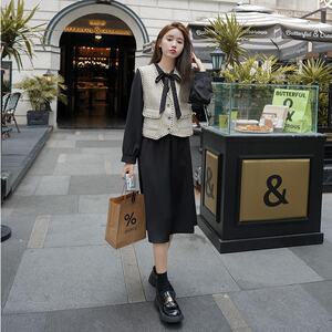 已出货226-A535-P135 2025春季中长款连衣裙+马甲女  188图片