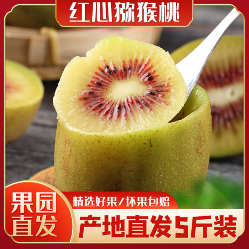 0-8度红心猕猴桃衢州江山