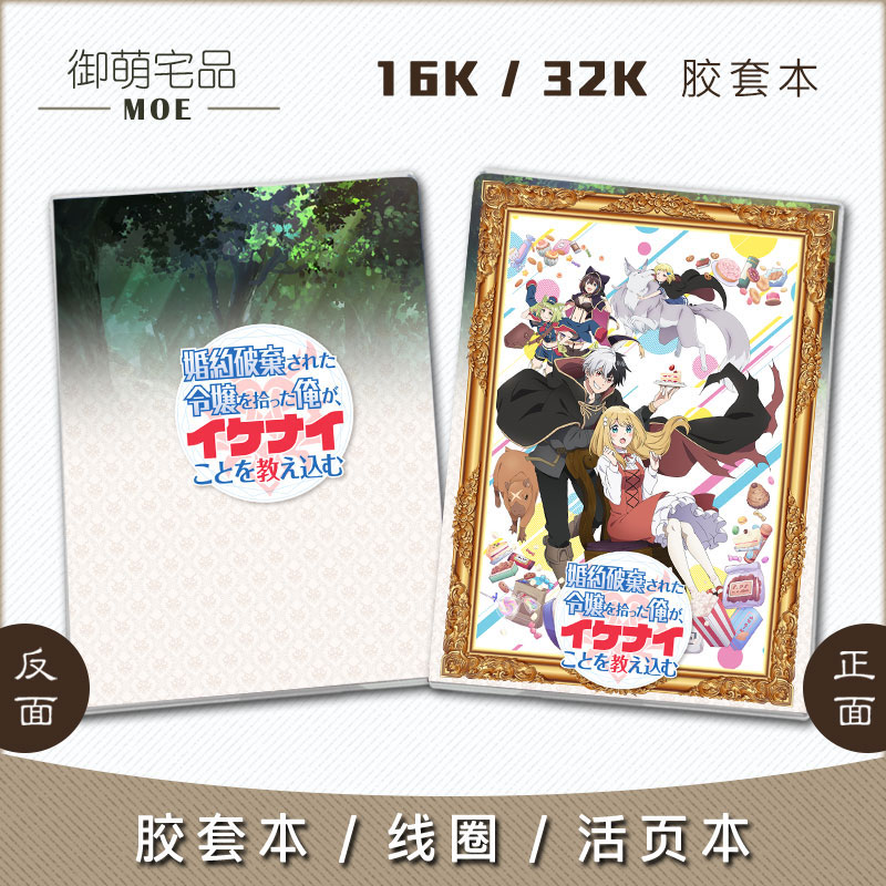 捡到被退婚大小姐的我动漫笔记本