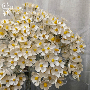 创艺轩紫罗兰干花永生花手工DIY装饰花束制作搭配花艺材料资材