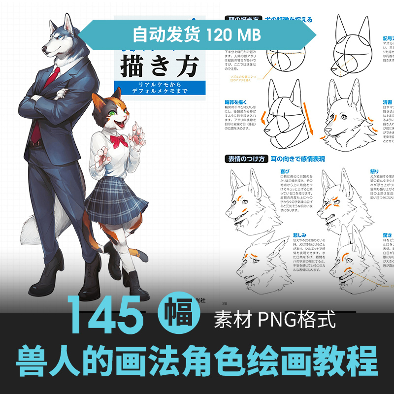 动物拟人角色兽人的画法furry人体动态结构绘画临摹线稿素材图片
