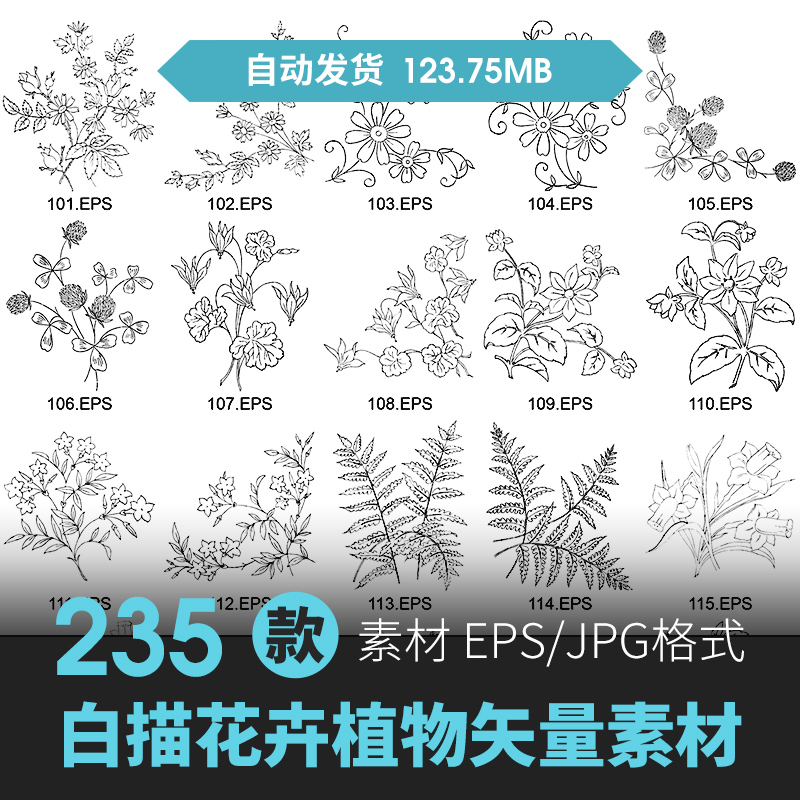 矢量ai手绘黑白草本植物花卉线稿线描白描图案设计素材包装图片