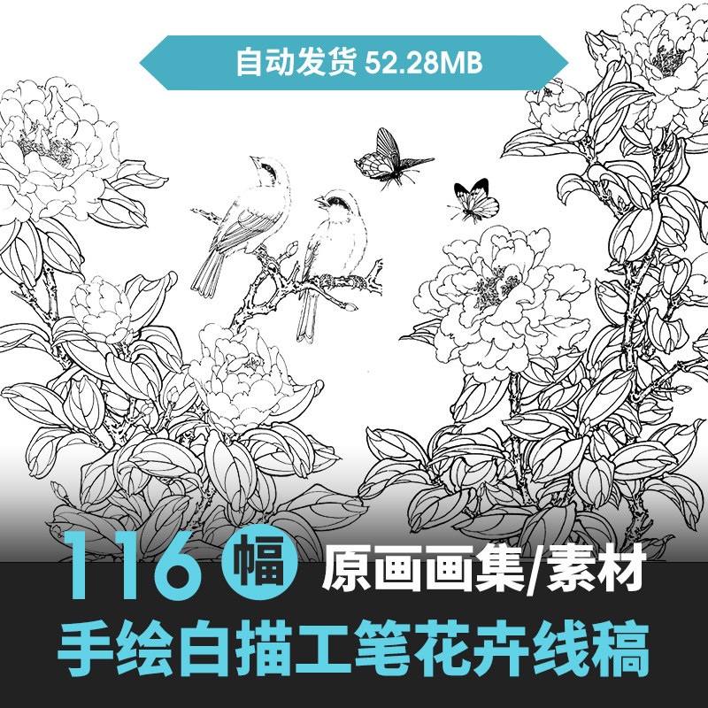 植物花卉线稿速写图片素材包 手绘铅笔钢笔白描手稿美术参考