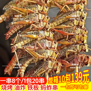 烧烤蚂蚱串商用批发昆虫类蝗虫酥脆蚱蜢串原味烧烤油炸食材半成品