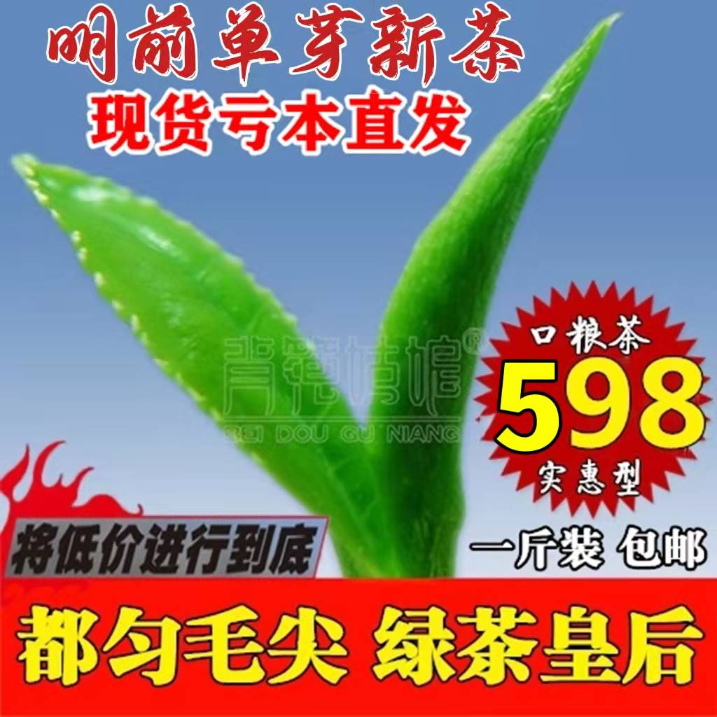 云雾明前初春特级浓香一斤绿茶