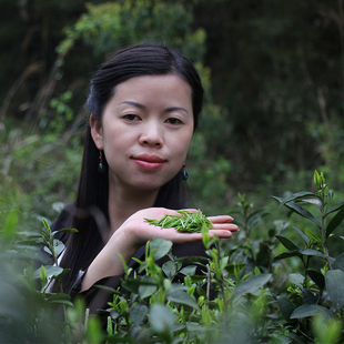 茶叶2026都匀毛尖茶 炒青绿茶 石阡苔茶 雨前新茶大促现货50g包邮