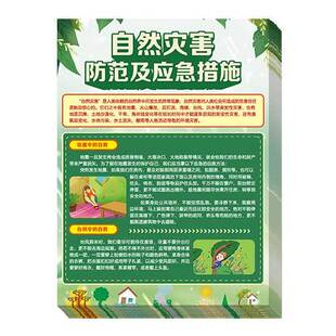 包发票自然灾害防范及应急措施宣传单50张彩页宣传页
