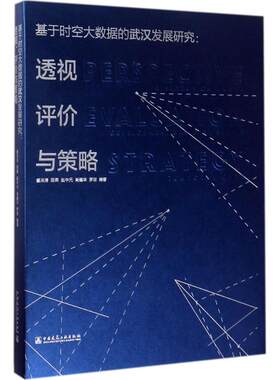 基于时空大数据的武汉发展研究：透视、评价与策略