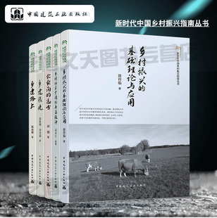 乡村社区空间 再造设计 乡建路上 乡村振兴 全套5册 乡建恨晚 基础理论与应用 远方 新时代中国乡村振兴指南丛书 宋家沟