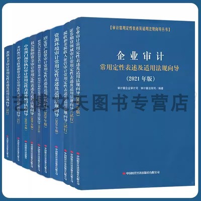 审计常用定性表述法规向导丛书