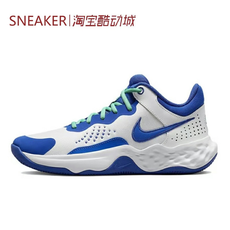 秋 耐克 Nike Fly By Mid 3 中帮 篮球鞋 男款 白蓝 DD9311-102