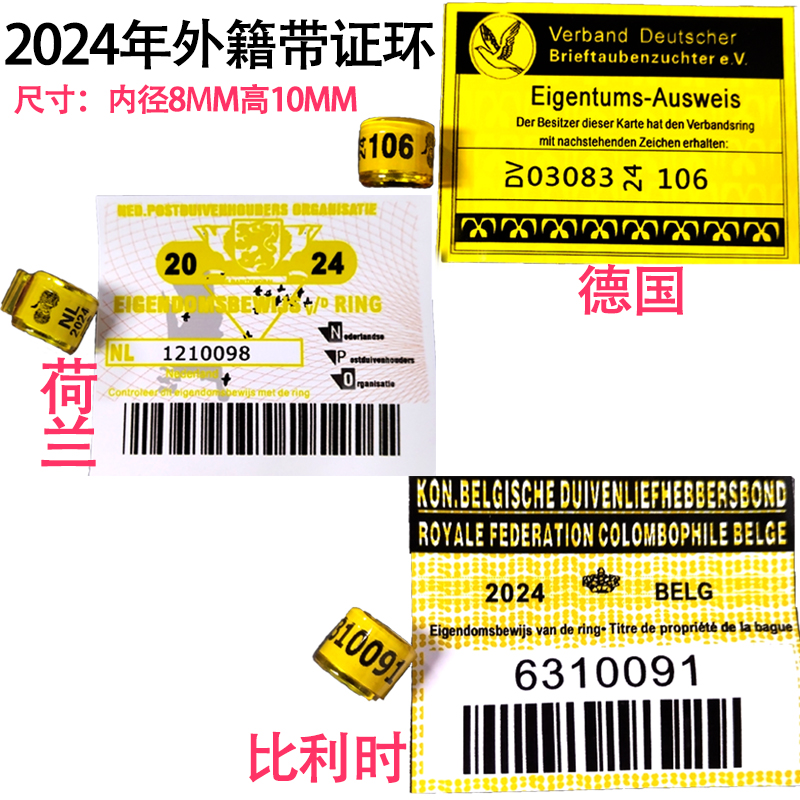 2024年带证外籍环荷兰比利时德国足环外国环鸽子脚环信鸽用品用具