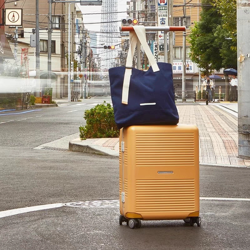 RAWROW拉杆箱29寸行李箱托运箱