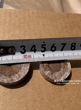Jiffy捷菲压缩育苗块38mm挪威进口扦插育苗土播种园艺基质育苗盒