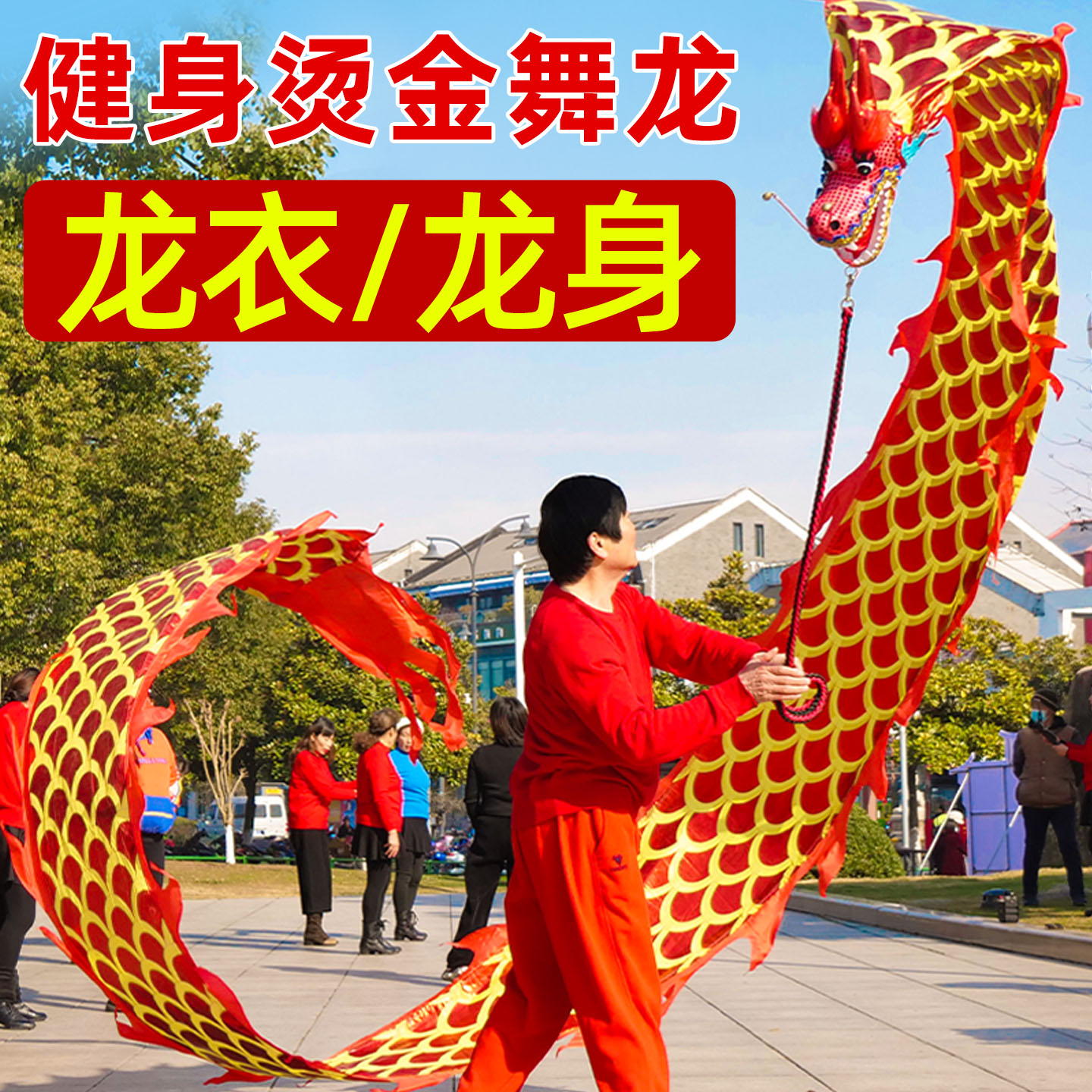 成人烫金舞龙龙身中国龙彩带