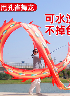 广场舞舞龙彩带健身龙手舞带甩龙耍龙中国龙成人中老年人道具8米