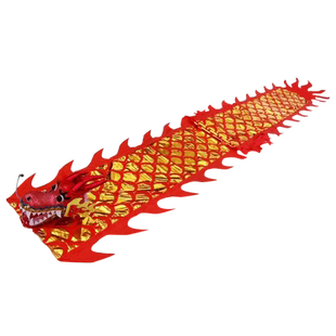 舞龙彩带健身新款儿童手甩龙广场舞健身龙甩彩带龙头舞龙表演道具