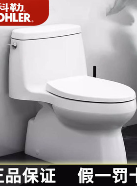 科勒马桶圣罗莎丽裙版连体式坐便器家用陶瓷坐厕K-20169T-S-0