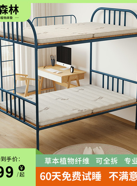 大森林学生宿舍专用床垫黄麻床垫硬垫单人护脊上下铺榻榻米H32