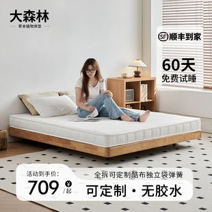 大森林W3席梦思床垫乳胶黄麻独立弹簧床垫薄款高箱床垫